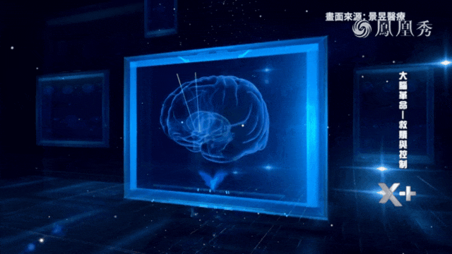 Brain-science visual from the programme